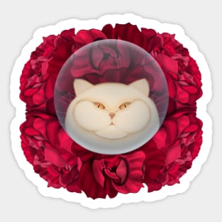 Cat and Peonies Sticker